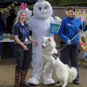 Two members of staff with a team member dressed up as a rabbit are standing with a white shepherd type dog