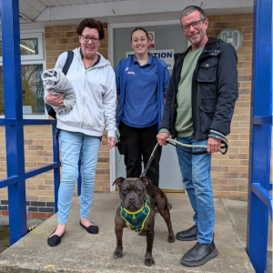 A member of staff with a couple and their newly adopted brindle Staffy